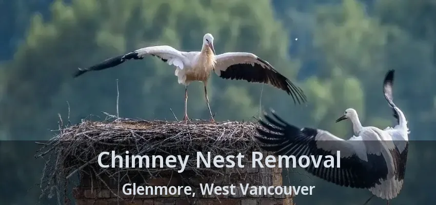 Chimney Nest Removal Glenmore, West Vancouver - BC