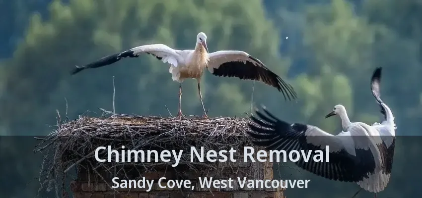Chimney Nest Removal Sandy Cove, West Vancouver - BC
