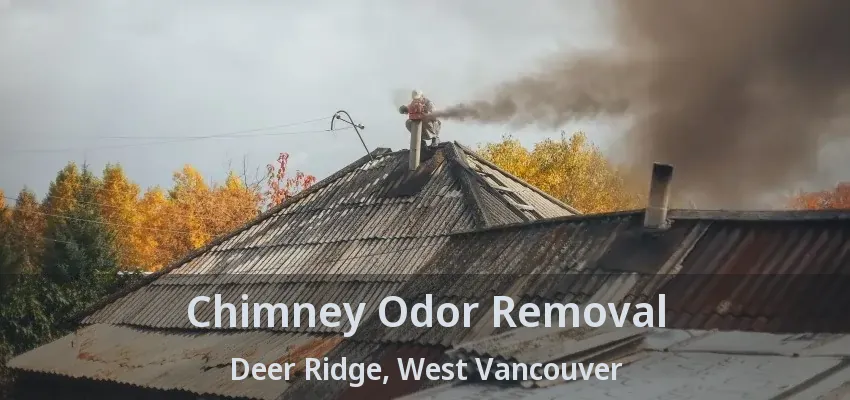 Chimney Odor Removal Deer Ridge, West Vancouver - BC Chimney Odor Removal Deer Ridge, West Vancouver - BC