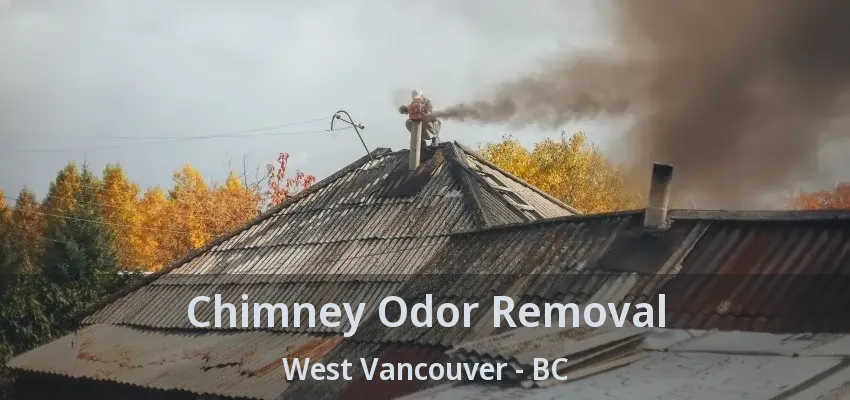 Chimney Odor Removal West Vancouver - BC