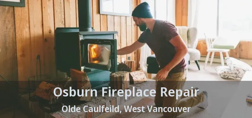 Osburn Fireplace Repair Olde Caulfeild, West Vancouver - BC Osburn Fireplace Repair Olde Caulfeild, West Vancouver - BC