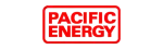 Pacific Energy Regency Fireplace Repair in West Vancouver